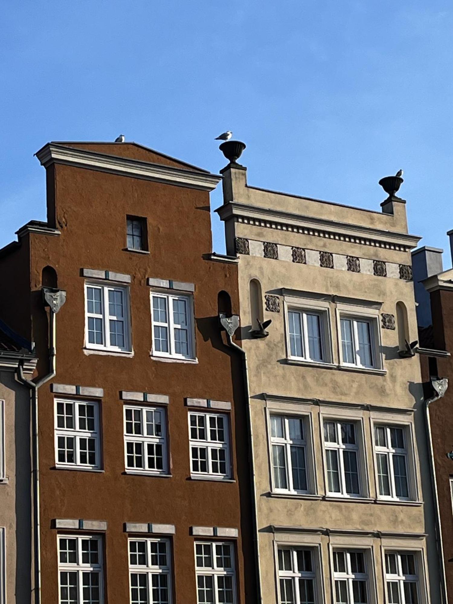 Grand Apartment - Old Town & City Center Gdańsk Zewnętrze zdjęcie